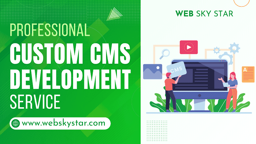 Professional Custom CMS Development Services