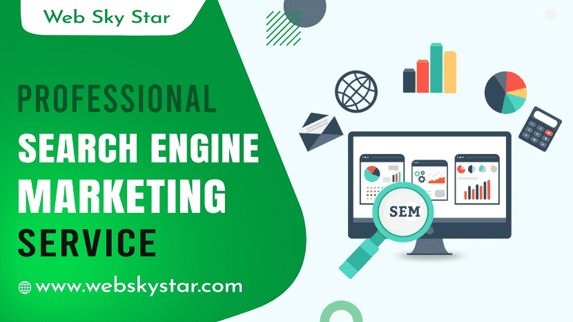 Professional Search Engine Marketing Service