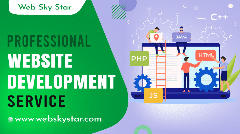 Professional Website Development Service