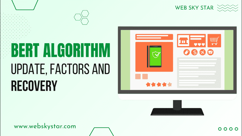 BERT Algorithm Update, Factors and Recovery